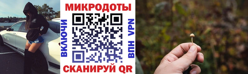 дарнет шоп  omg ссылка  Галлюциногенные грибы Psilocybine cubensis  Североуральск 